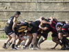 thumb_DSC_6489.jpg
